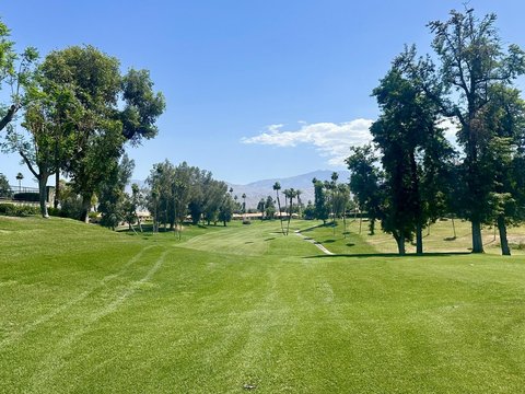 291 Serena Drive, Palm Desert, CA 92260 photo 4