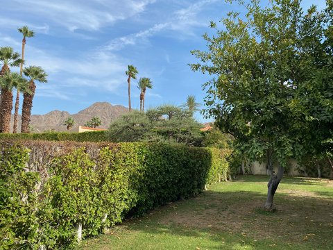 45570 Pawnee Circle, Indian Wells, CA 92210 photo 18
