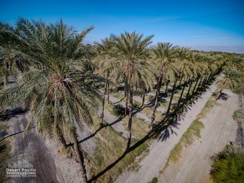 0 Ave 63 & W Pierce St, Thermal, CA 92274 photo 16