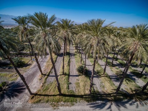 0 Ave 63 & W Pierce St, Thermal, CA 92274 photo 17