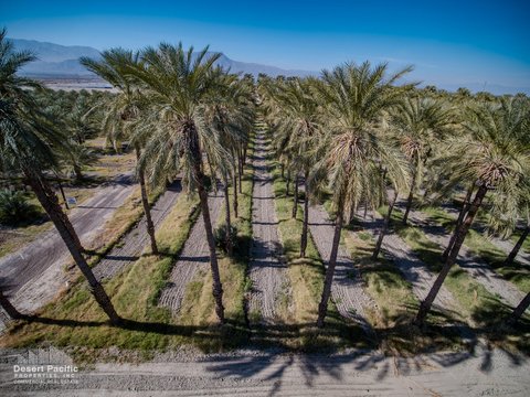0 Ave 63 & W Pierce St, Thermal, CA 92274 photo 18