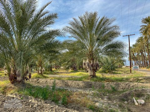 0 Ave 63 & W Pierce St, Thermal, CA 92274 photo 32