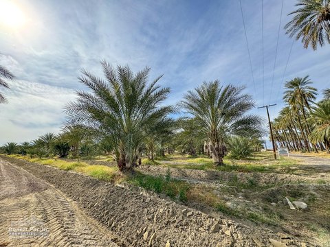 0 Ave 63 & W Pierce St, Thermal, CA 92274 photo 33