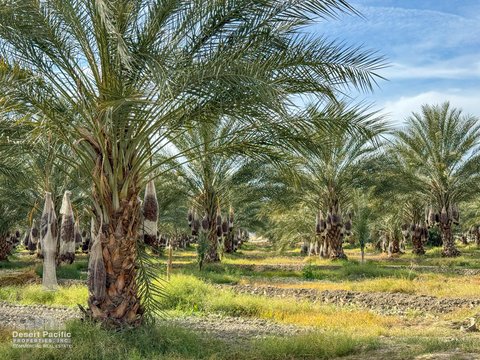 0 Ave 63 & W Pierce St, Thermal, CA 92274 photo 35