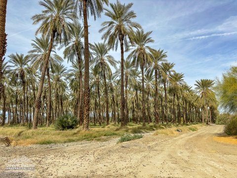 0 Ave 63 & W Pierce St, Thermal, CA 92274 photo 42