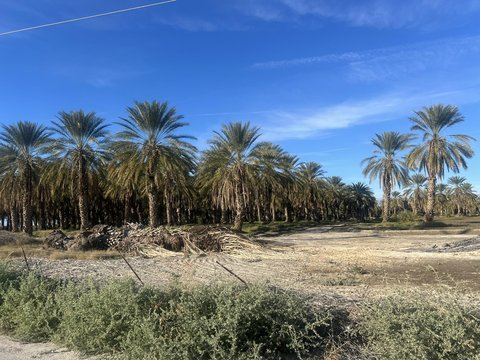 0 Nwc Pierce St & Ave 64, Thermal, CA 92274 photo 8