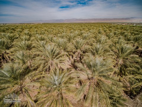 0 N Ave 62 & Pierce St, Thermal, CA 92274 photo 3
