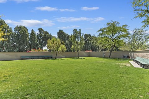 359 Desert Holly Drive, Palm Desert, CA 92211 photo 51