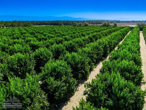 0 Ave 67 & Van Buren St, Thermal, CA 92274 photo 20