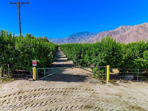 0 Ave 67 & Van Buren St, Thermal, CA 92274 photo 22