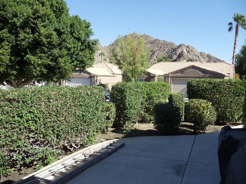 48540 Via Amistad, La Quinta, CA 92253 photo 3
