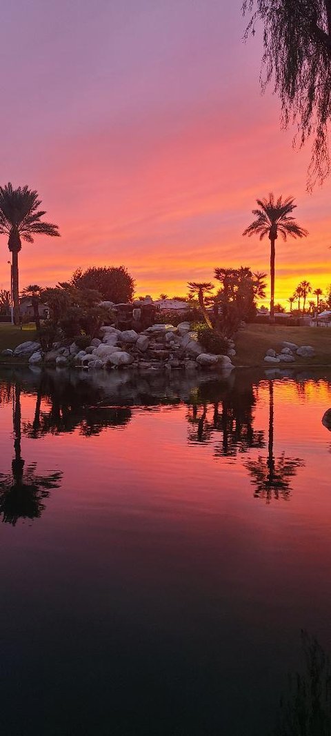 48540 Via Amistad, La Quinta, CA 92253 photo 34
