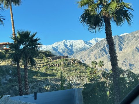 3295 Tiger Tail Lane, Palm Springs, CA 92264 photo 60