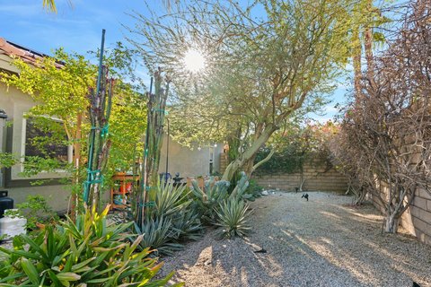 664 E Lily Street, Palm Springs, CA 92262 photo 7