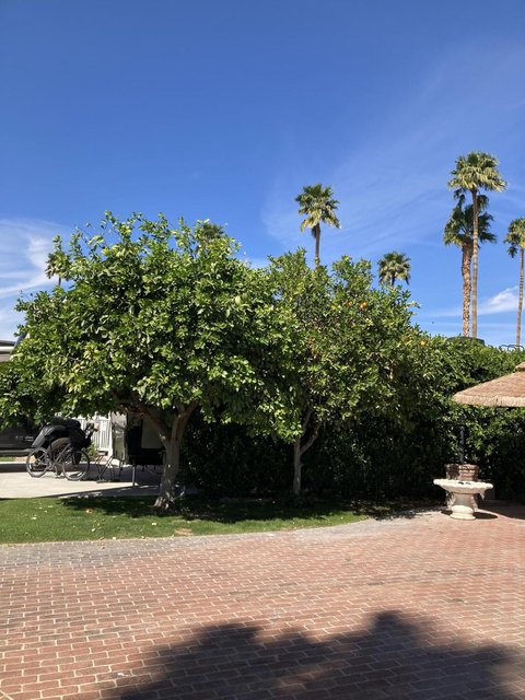69411 Ramon Road, 201, Cathedral City, CA 92234 photo 3