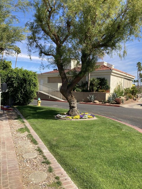 69411 Ramon Road, 201, Cathedral City, CA 92234 photo 5