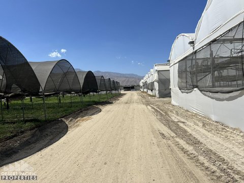 78100 Harrison St, Thermal, CA 92274 photo 18