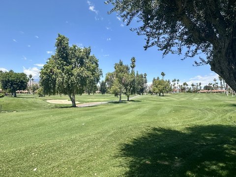 347 Gran Via, Palm Desert, CA 92260 photo 5