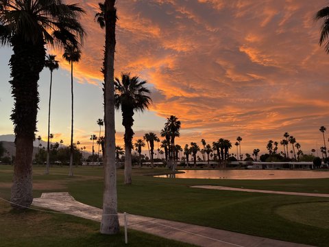 73700 Grapevine Street, 8, Palm Desert, CA 92260 photo 40