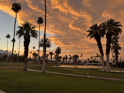 73700 Grapevine Street, 8, Palm Desert, CA 92260 photo 58