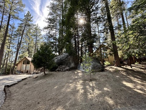 26305 Delano Drive, Idyllwild, CA 92549 photo 4