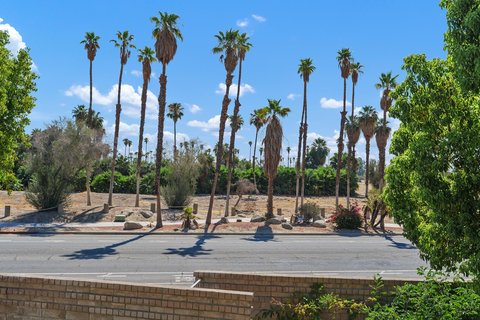 505 S Farrell Drive, Q104, Palm Springs, CA 92264 photo 16