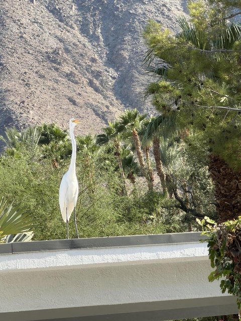 71581 Sahara Road, Rancho Mirage, CA 92270 photo 43