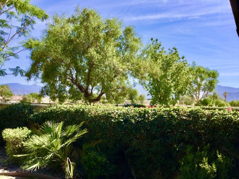82775 Burnette Drive, Indio, CA 92201 photo 4