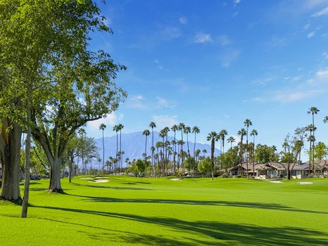360 Running Springs Drive, Palm Desert, CA 92211 photo 35