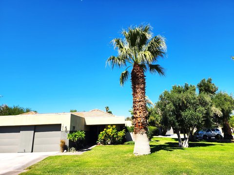 1444 Sunflower Circle N, Palm Springs, CA 92262 photo 1