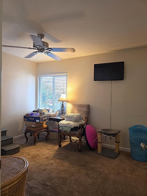 1444 Sunflower Circle N, Palm Springs, CA 92262 photo 11