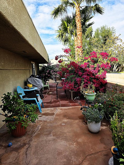 1444 Sunflower Circle N, Palm Springs, CA 92262 photo 12