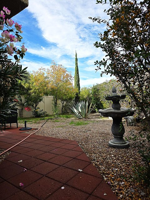 1444 Sunflower Circle N, Palm Springs, CA 92262 photo 3