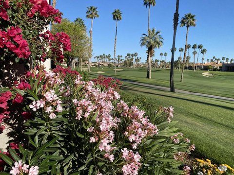 54053 Oak Hill, La Quinta, CA 92253 photo 26