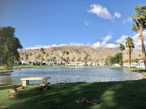 74711 Dillon Rd Spc 103, Desert Hot Springs, CA 92241 photo 4