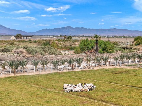 88161 Airport Boulevard, Thermal, CA 92274 photo 21