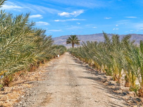 88161 Airport Boulevard, Thermal, CA 92274 photo 31