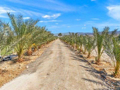 88161 Airport Boulevard, Thermal, CA 92274 photo 41