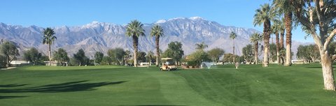 38525 Desert Greens Drive E, Palm Desert, CA 92260 photo 42