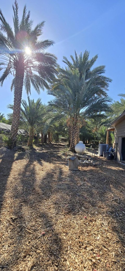 76850 Pierce Street, Thermal, CA 92274 photo 38