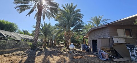 76850 Pierce Street, Thermal, CA 92274 photo 39