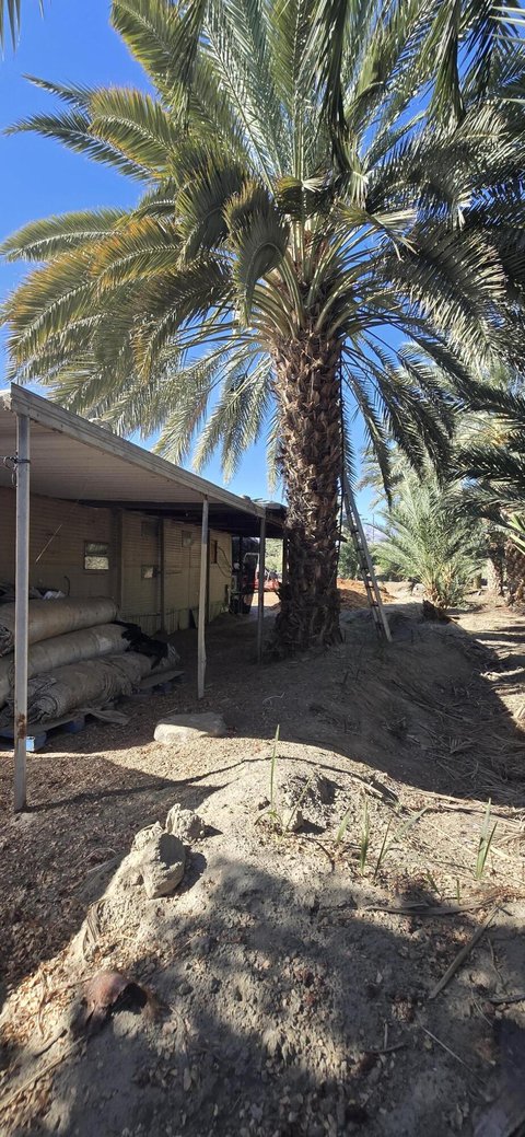 76850 Pierce Street, Thermal, CA 92274 photo 56
