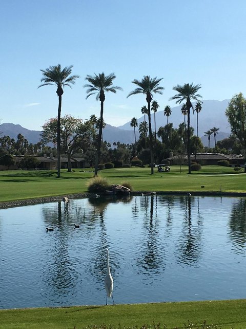 9 Rutgers Court, Rancho Mirage, CA 92270 photo 54
