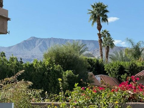 46446 Ryway Place, Palm Desert, CA 92260 photo 8