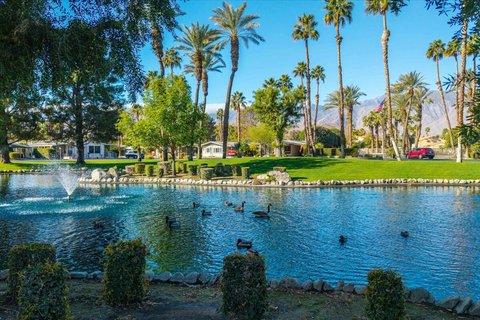 132 Hester Drive, Cathedral City, CA 92234 photo 63
