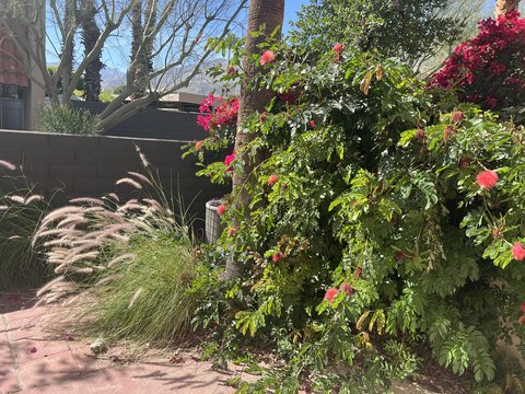 232 E Via Escuela, C, Palm Springs, CA 92262 photo 29