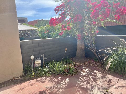 232 E Via Escuela, C, Palm Springs, CA 92262 photo 30