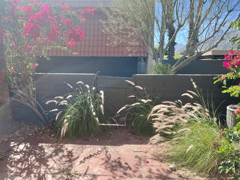 232 E Via Escuela, C, Palm Springs, CA 92262 photo 31