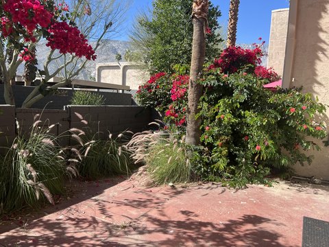 232 E Via Escuela, C, Palm Springs, CA 92262 photo 32