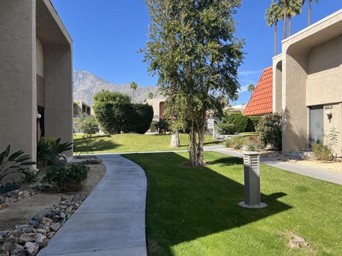 232 E Via Escuela, C, Palm Springs, CA 92262 photo 37